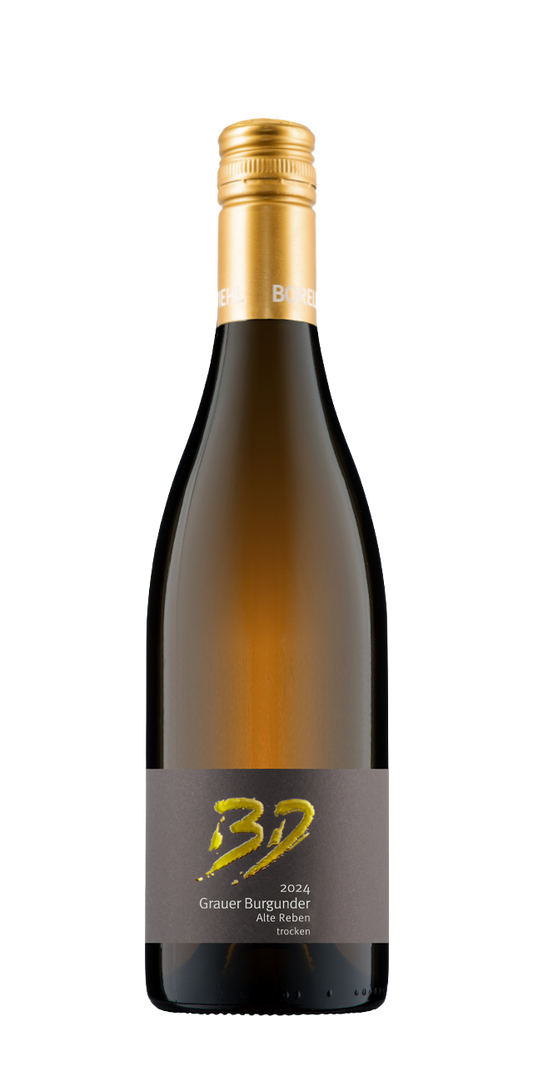 2024 Grauer Burgunder trocken Alte Reben – Hainfelder Letten